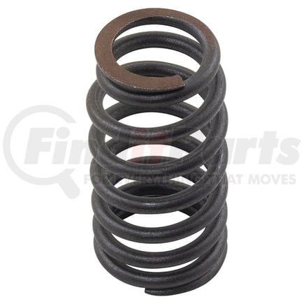 Reliance Power Products NRE516486 Valve Spring Set-2 spring pak