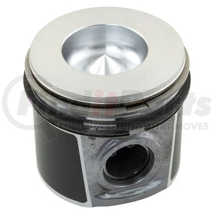 Reliance Power Products NRE524564 Piston & Rings