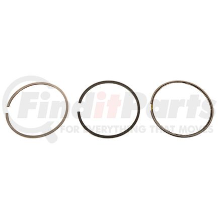Reliance Power Products NRE543439 Piston & Rings