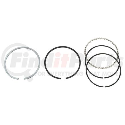 Reliance Power Products R402010259 Piston Ring Set