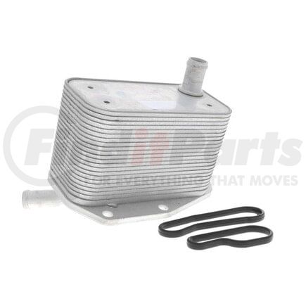 Vemo V48600022 Oil Cooler, engine oil