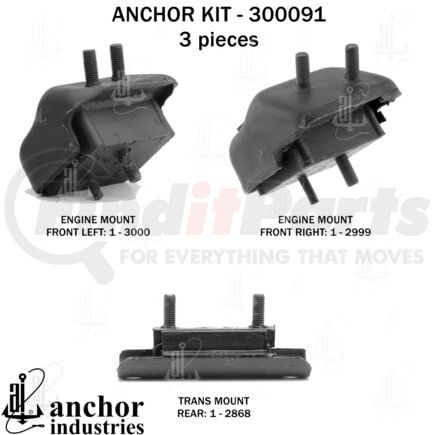 Anchor Motor Mounts 300091 ENGINE MNT KIT