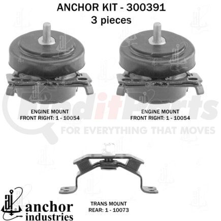 Anchor Motor Mounts 300391 ENGINE MNT KIT