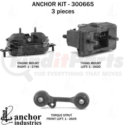 Anchor Motor Mounts 300665 300665