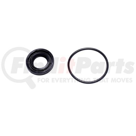 Sunsong 8401431 Str Gr Seal Kit