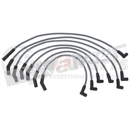 Walker Products 924-1299 ThunderCore PRO 924-1299 Spark Plug Wire Set