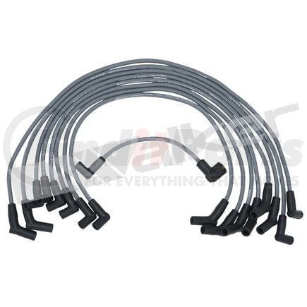 Walker Products 924-1397 ThunderCore PRO 924-1397 Spark Plug Wire Set