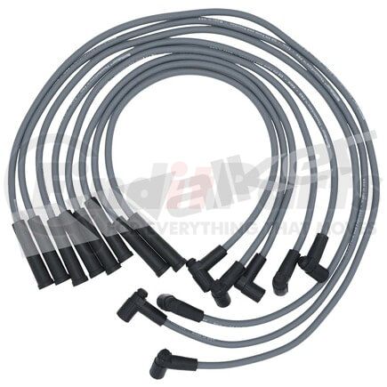 Walker Products 924-1404 ThunderCore PRO 924-1404 Spark Plug Wire Set