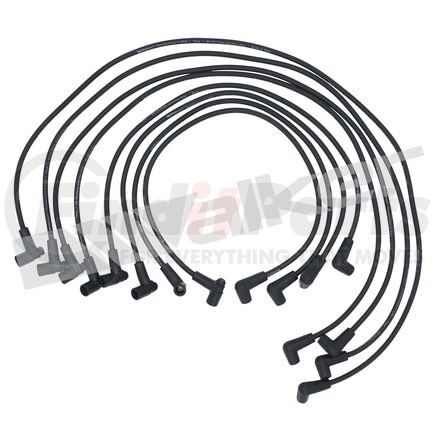 Walker Products 924-1420 ThunderCore PRO 924-1420 Spark Plug Wire Set