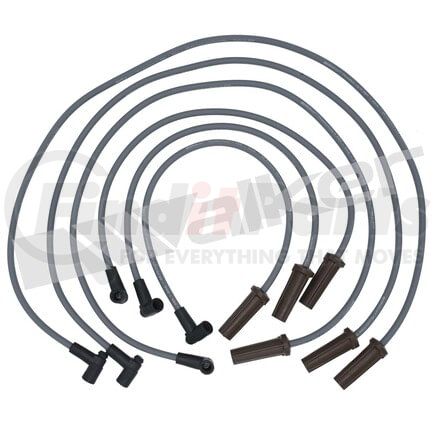 Walker Products 924-1584 ThunderCore PRO 924-1584 Spark Plug Wire Set