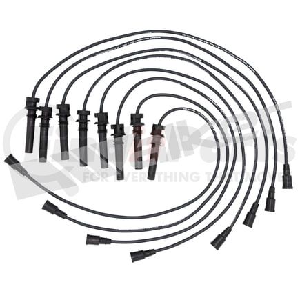 Walker Products 924-1660 ThunderCore PRO 924-1660 Spark Plug Wire Set
