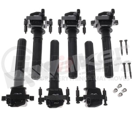 Walker Products 928-4081-6 Walker Products 928-4081-6 Ignition Coil Set (Qty 6)