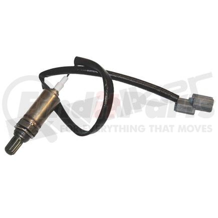 Walker Products 350-31002 Walker Products 350-31002 Oxygen Sensor 1-W Direct Fit