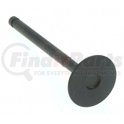 Engine Exhaust Valve