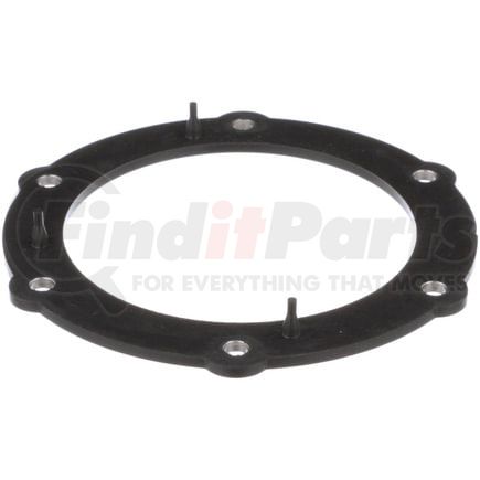 Delphi FA10030 Fuel Pump Tank Seal