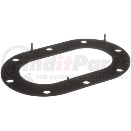 Delphi FA10033 Fuel Pump Tank Seal