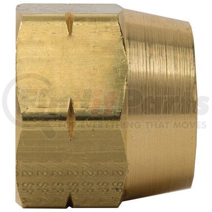 Tectran 1025 Air Brake Air Line Nut - Brass, 3/8 in. I.D Hose, D.O.T