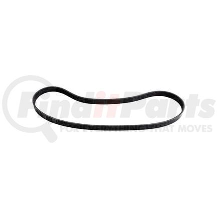 Dayco 5060453 V-RIBBED BELT