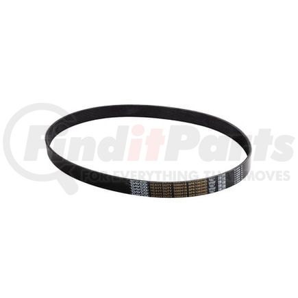 Dayco 5080418 V-RIBBED BELT