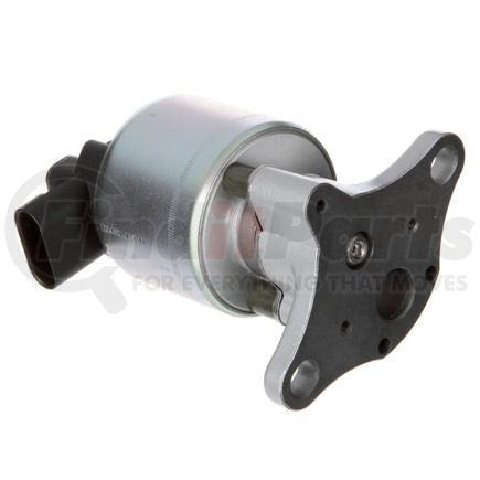 Delphi EG10024 EGR Valve