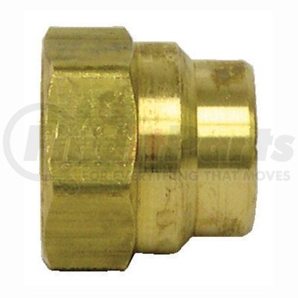 Tectran 1025-8 Air Brake Air Line Nut - Brass, 1/2 in. I.D Hose, D.O.T