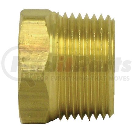 Tectran 121-D Air Brake Pipe Head Plug - 1/2 inches Pipe Thread, Hex Head