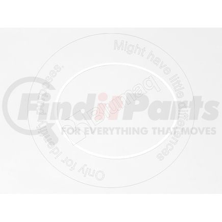 Blumaq 19034399B Multi-Purpose Seal Ring - Plastic, 279.77 mm. ID x 289.8 mm. OD