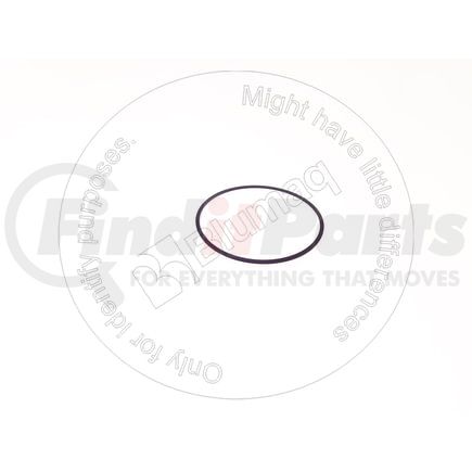Blumaq BQ1300273 Seal Ring / Washer - Back-Up Ring