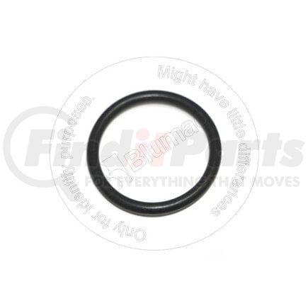 Blumaq CSVV24311000320 Seal O-ring
