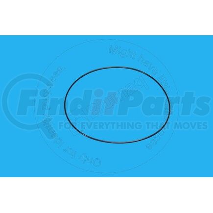 Blumaq CS100552A1 Seal O-ring