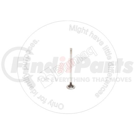 Blumaq CU4965868 Engine Intake Valve
