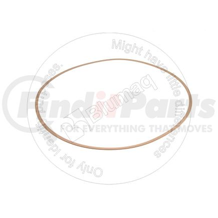 Blumaq CS48056328 RING-SUPPO