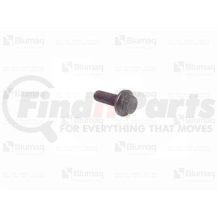 Blumaq 900.01874 Fuel Tank Bolt - Hex Flange Head