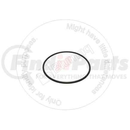Blumaq 900.01939 Seal O-ring