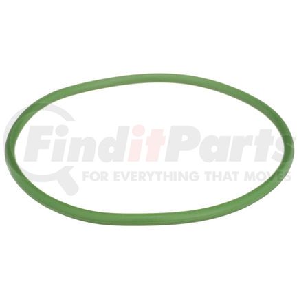 Delphi FA10029 Fuel Pump Tank Seal