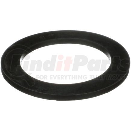 Delphi TD4649W Coil Spring Insulator - Front, Upper