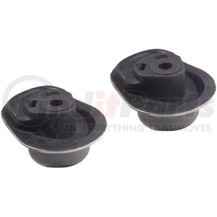 Delphi TD796W Axle Support Bushing