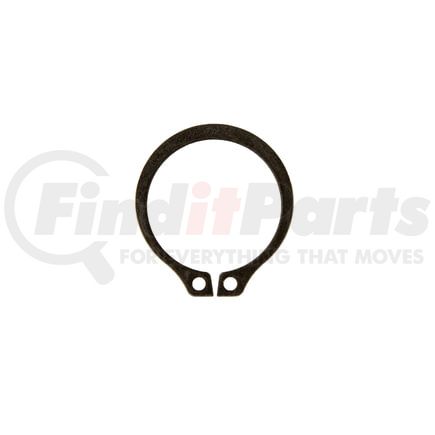 Richmond Gear 421077 RING  RET. EXT. 5100-100