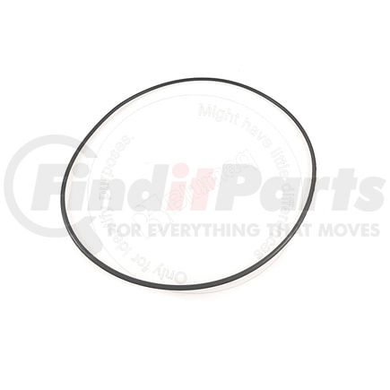 Blumaq CS9576169 Seal O-ring