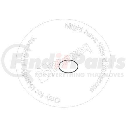 Blumaq R909084484 Seal O-ring
