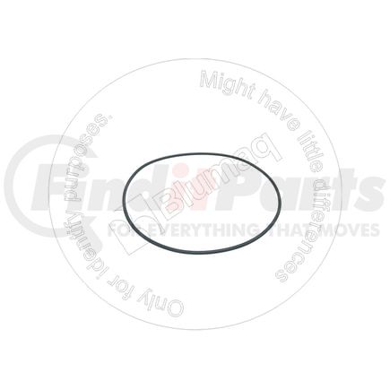 Blumaq R909830300 Seal O-ring
