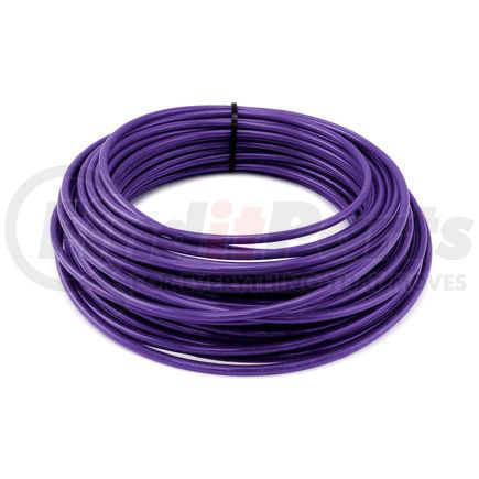 Tramec Sloan A451030P-1000 1/4" Nylon Tubing, Purple, 1000ft