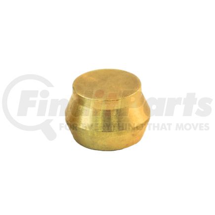 Tramec Sloan CSP-10 Compression Plug, 5/8