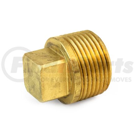Tramec Sloan S211-12 Square-Head Pipe Plug, Cored, 3/4