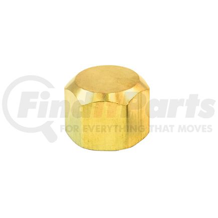 Tramec Sloan S40-12 Air Brake Fitting - 3/4 Inch 45 Degree Flare Cap