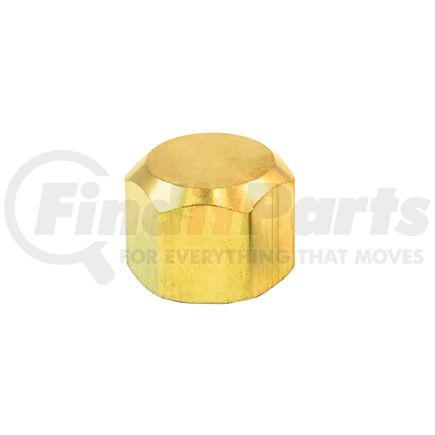 Tramec Sloan S40-8 Air Brake Fitting - 1/2 Inch 45 Degree Flare Cap