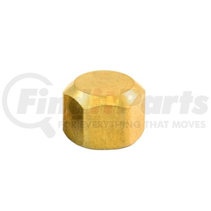 Tramec Sloan S61CP-8 Compression Cap, 1/2