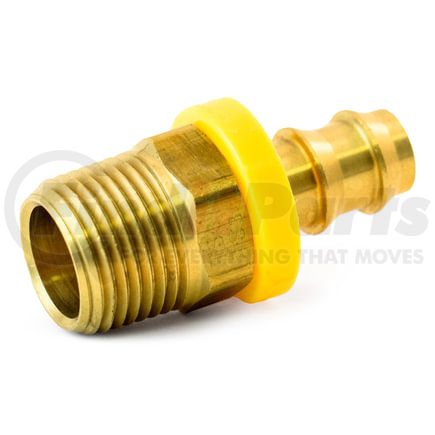 Tramec Sloan S625-4-4 Rigid Male Pipe Hose Barb, 1/4 Hose x 1/4 Pipe
