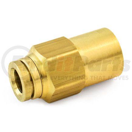 Tramec Sloan S66PMT-8-6 Female Connector, 1/2x3/8
