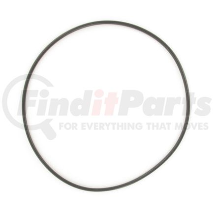 SKF 4079AA O-Ring